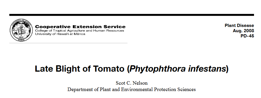 Late Blight of Tomato (Phytophthora infestans)